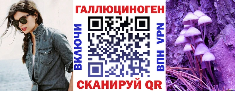 мега как зайти  как найти   Бугуруслан  Галлюциногенные грибы Psilocybine cubensis 